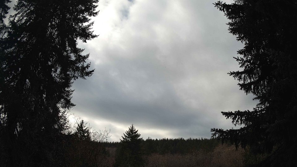 Pacific Northwest skyline timelapse on Jan 26, 2026 at 11:15 AM