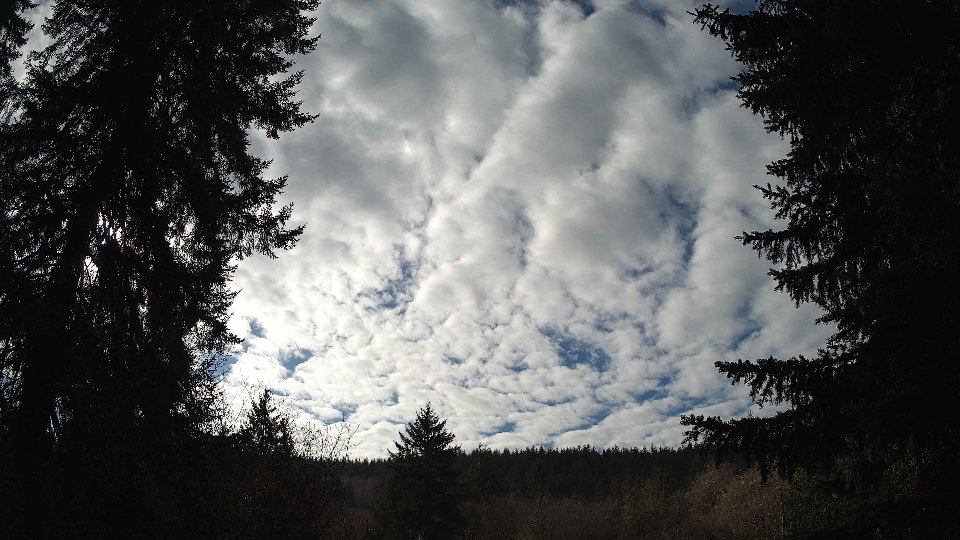 Pacific Northwest skyline timelapse on Jan 26, 2026 at 1:00 PM