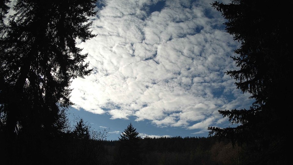 Pacific Northwest skyline timelapse on Jan 26, 2026 at 1:15 PM
