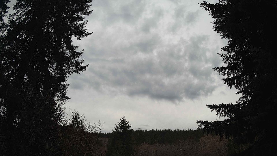 Pacific Northwest skyline timelapse on Jan 27, 2026 at 12:30 PM