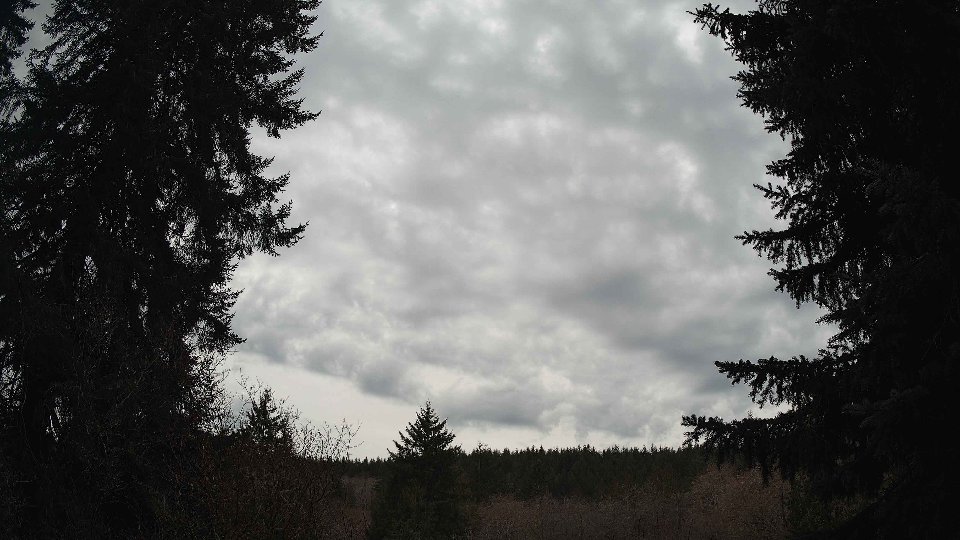 Pacific Northwest skyline timelapse on Jan 27, 2026 at 12:45 PM