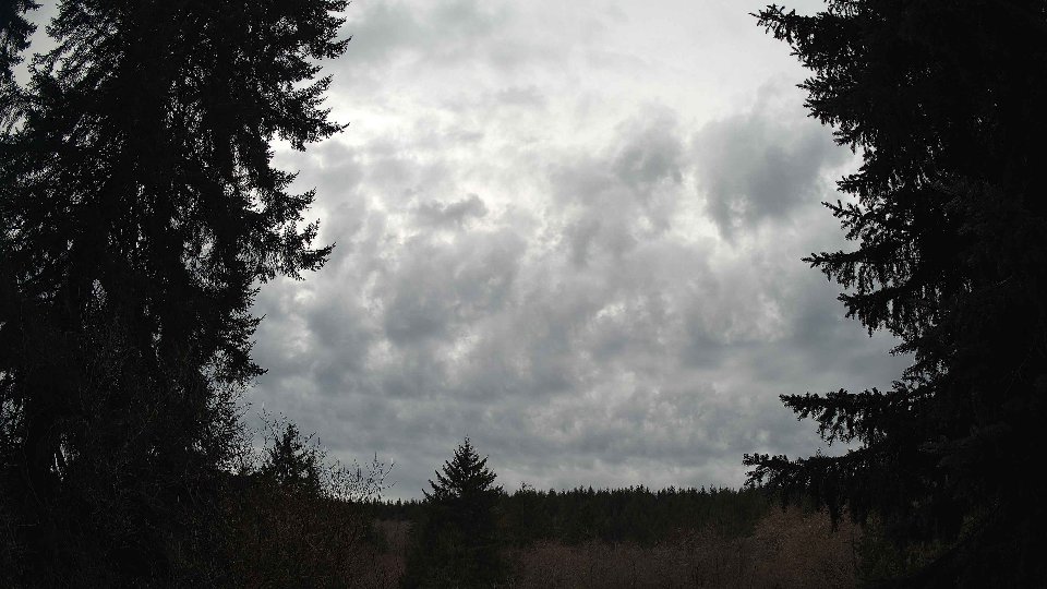 Pacific Northwest skyline timelapse on Jan 27, 2026 at 1:15 PM