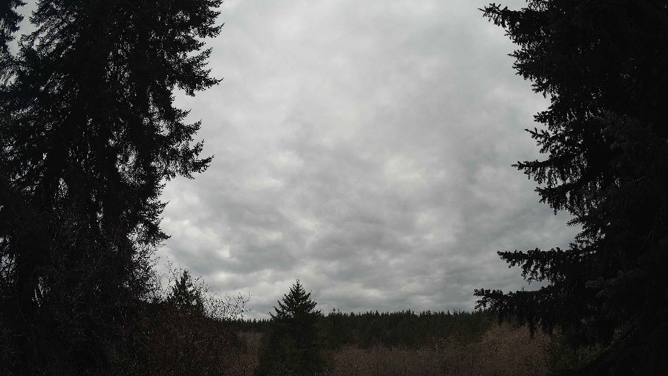 Pacific Northwest skyline timelapse on Jan 27, 2026 at 3:30 PM