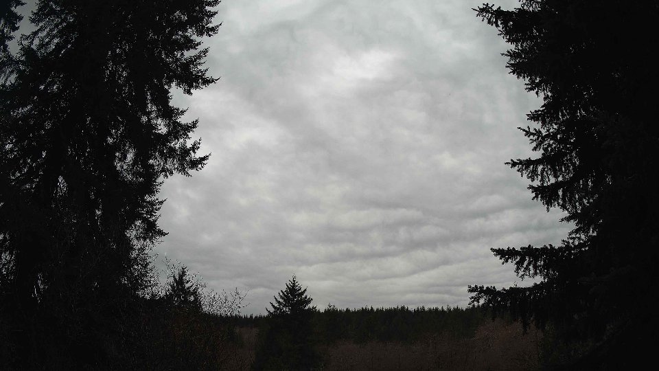 Pacific Northwest skyline timelapse on Jan 27, 2026 at 4:15 PM