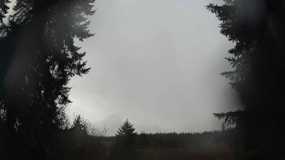 Pacific Northwest skyline timelapse on Jan 28, 2026 at 11:00 AM