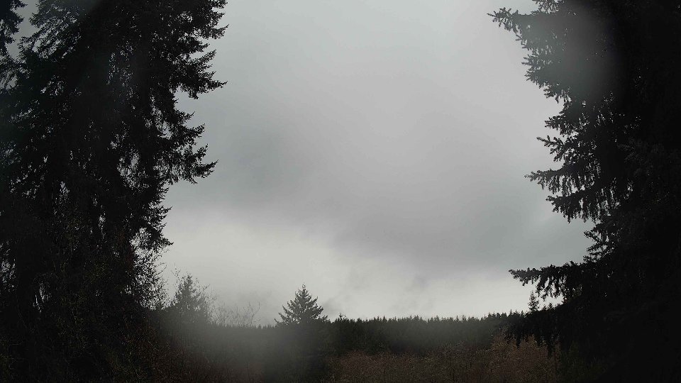 Pacific Northwest skyline timelapse on Jan 28, 2026 at 12:30 PM