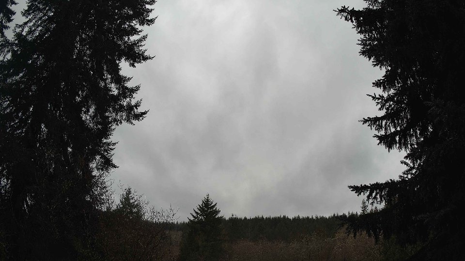 Pacific Northwest skyline timelapse on Jan 28, 2026 at 2:00 PM