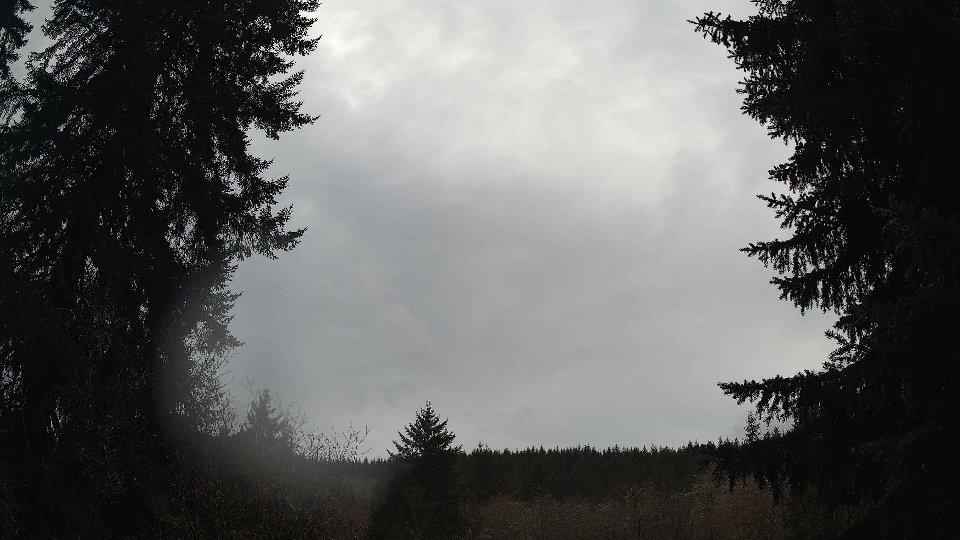 Pacific Northwest skyline timelapse on Jan 28, 2026 at 2:30 PM