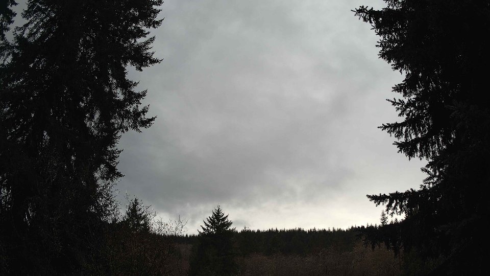 Pacific Northwest skyline timelapse on Jan 28, 2026 at 3:00 PM