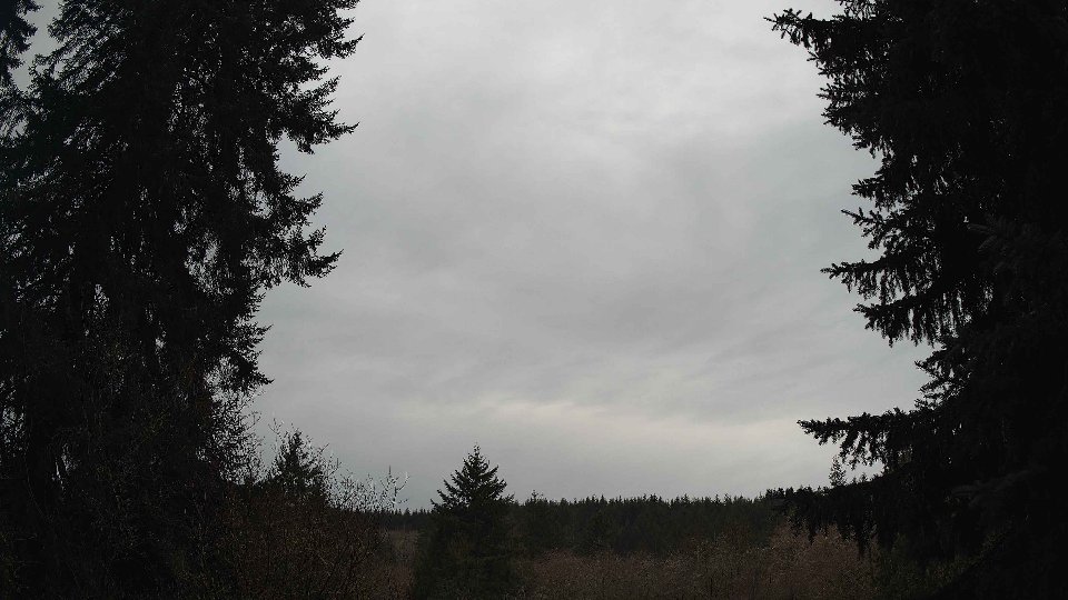 Pacific Northwest skyline timelapse on Jan 28, 2026 at 3:45 PM