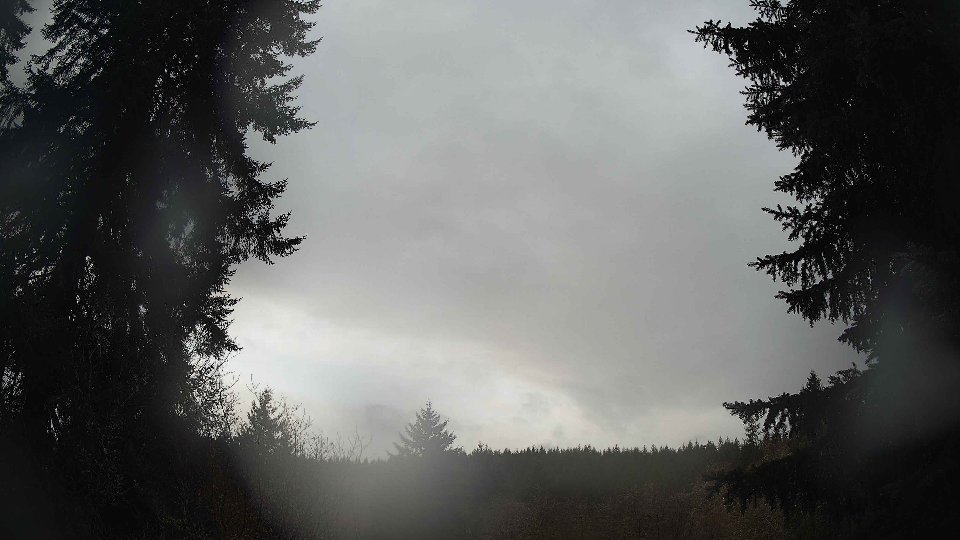 Pacific Northwest skyline timelapse on Jan 29, 2026 at 9:00 AM