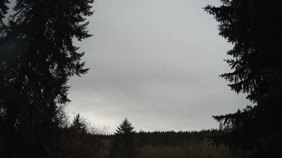 Pacific Northwest skyline timelapse on Jan 29, 2026 at 11:00 AM