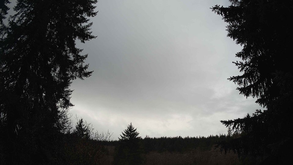 Pacific Northwest skyline timelapse on Jan 29, 2026 at 11:15 AM