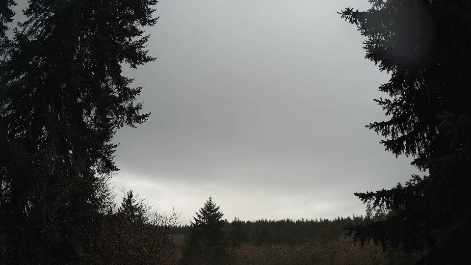 Pacific Northwest skyline timelapse on Jan 29, 2026 at 11:30 AM