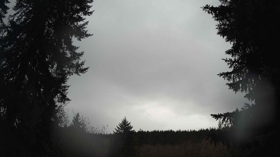 Pacific Northwest skyline timelapse on Jan 29, 2026 at 11:45 AM