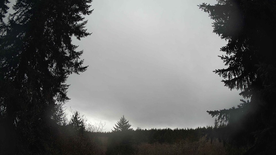 Pacific Northwest skyline timelapse on Jan 29, 2026 at 1:00 PM