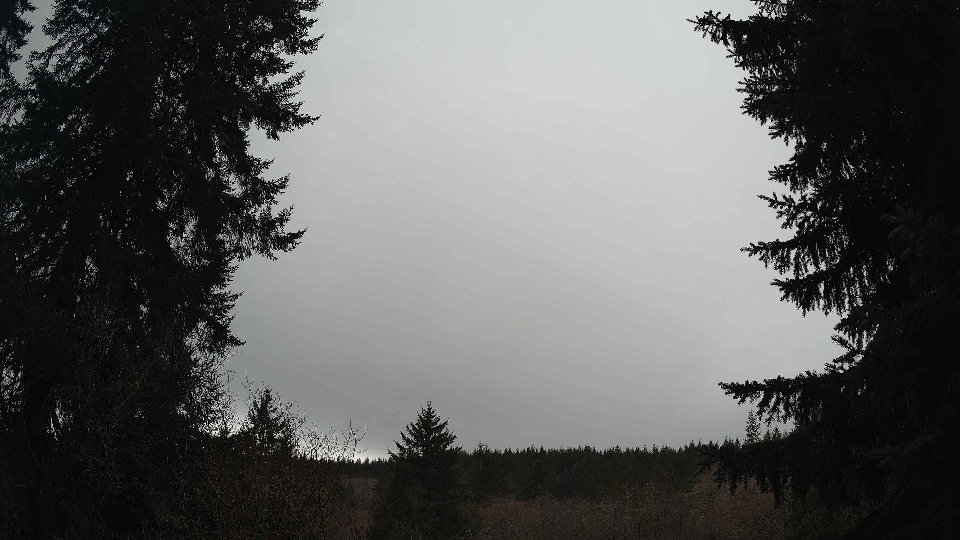 Pacific Northwest skyline timelapse on Jan 29, 2026 at 2:00 PM