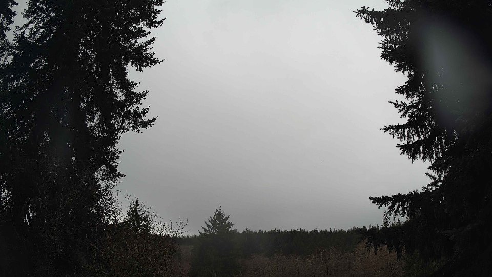 Pacific Northwest skyline timelapse on Jan 29, 2026 at 2:15 PM