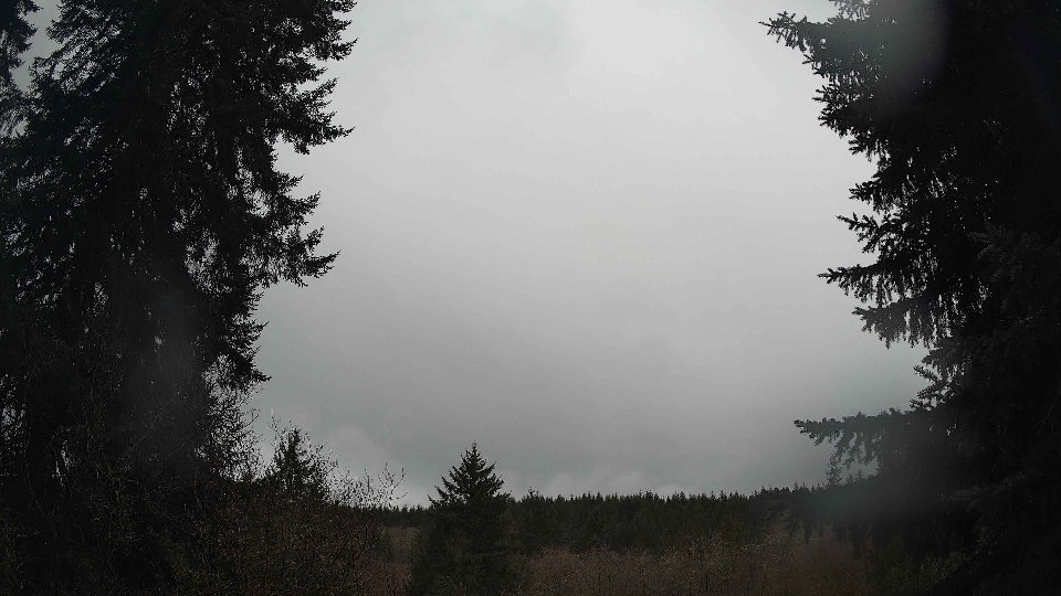 Pacific Northwest skyline timelapse on Jan 29, 2026 at 3:15 PM