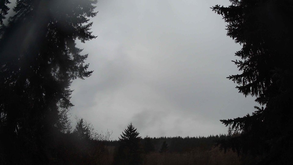 Pacific Northwest skyline timelapse on Jan 29, 2026 at 5:15 PM