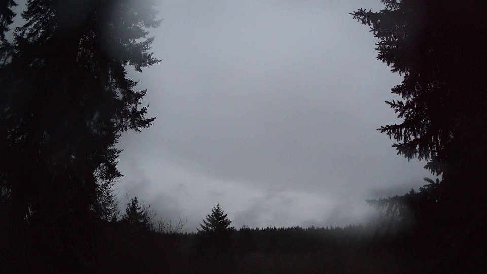 Pacific Northwest skyline timelapse on Jan 29, 2026 at 5:30 PM