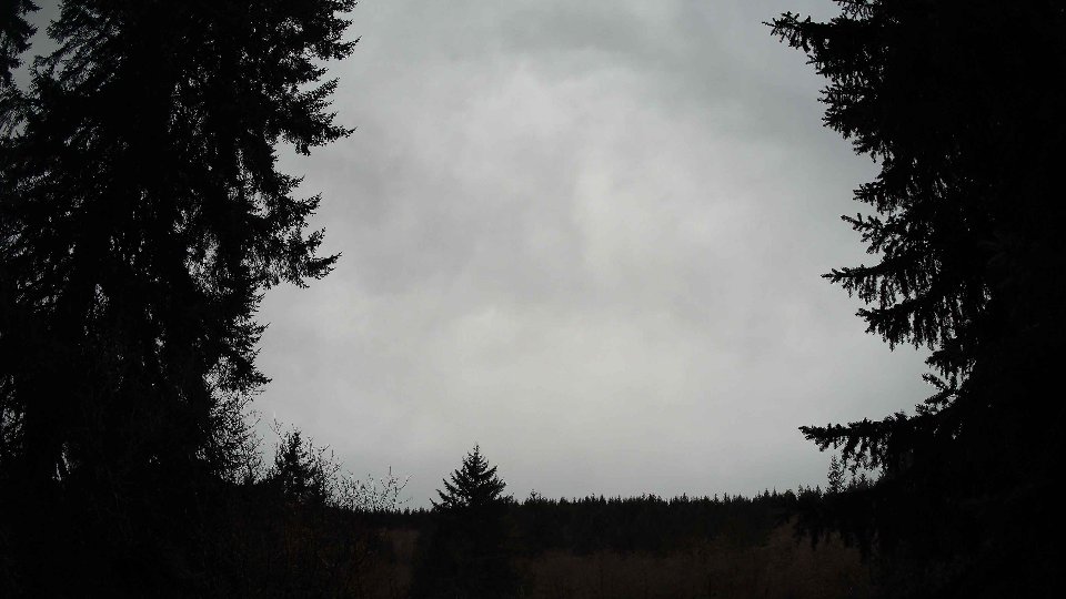 Pacific Northwest skyline timelapse on Jan 30, 2026 at 7:45 AM