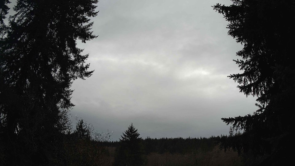 Pacific Northwest skyline timelapse on Jan 30, 2026 at 8:30 AM