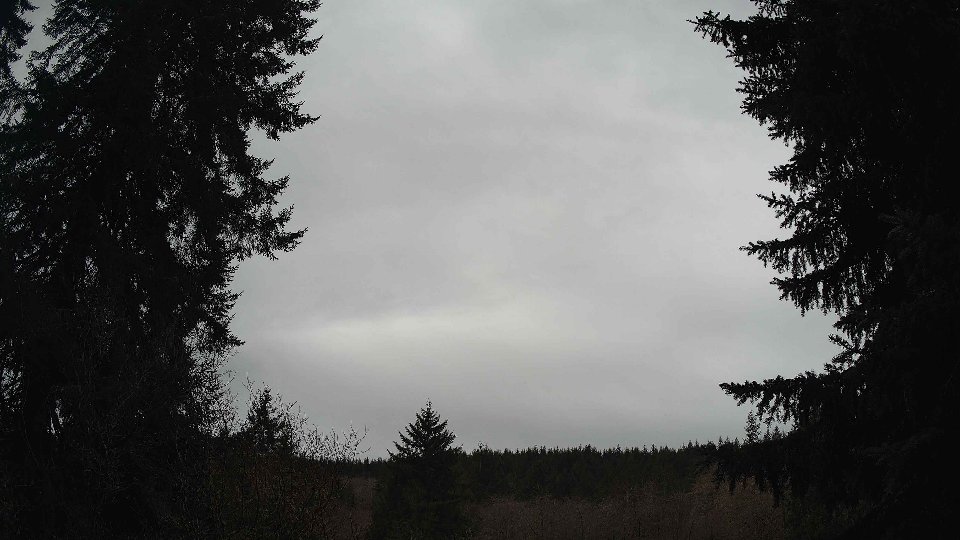 Pacific Northwest skyline timelapse on Jan 30, 2026 at 9:00 AM