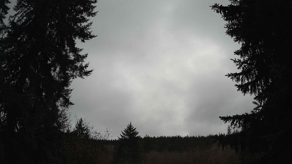 Pacific Northwest skyline timelapse on Jan 30, 2026 at 4:00 PM