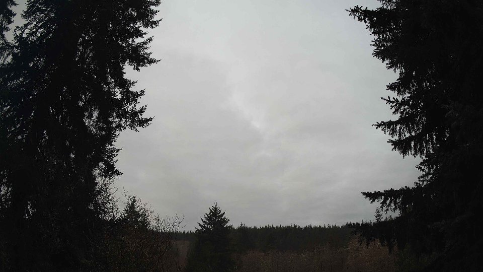 Pacific Northwest skyline timelapse on Jan 31, 2026 at 8:00 AM