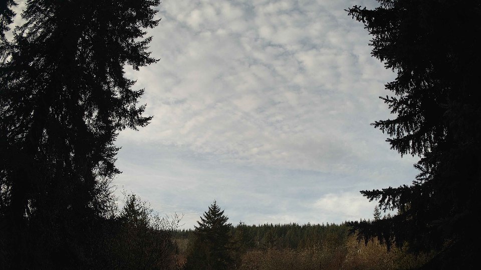 Pacific Northwest skyline timelapse on Jan 31, 2026 at 9:15 AM