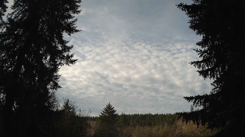 Pacific Northwest skyline timelapse on Jan 31, 2026 at 9:45 AM