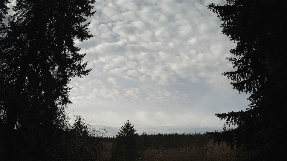Pacific Northwest skyline timelapse on Jan 31, 2026 at 10:00 AM