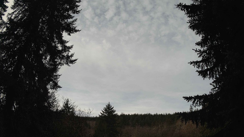 Pacific Northwest skyline timelapse on Jan 31, 2026 at 10:15 AM