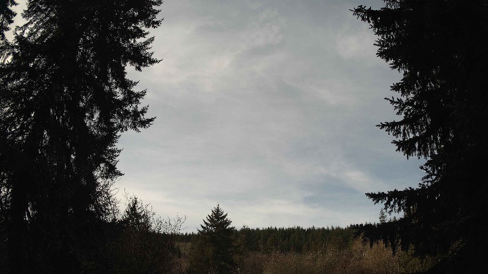 Pacific Northwest skyline timelapse on Jan 31, 2026 at 10:30 AM