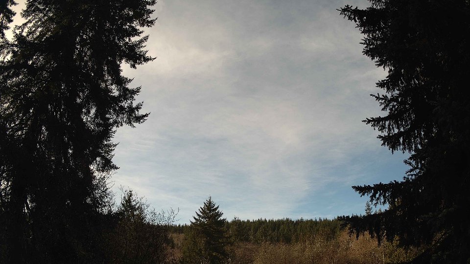 Pacific Northwest skyline timelapse on Jan 31, 2026 at 10:45 AM