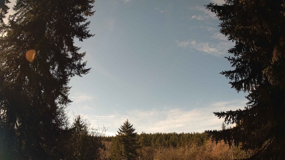 Pacific Northwest skyline timelapse on Jan 31, 2026 at 11:15 AM