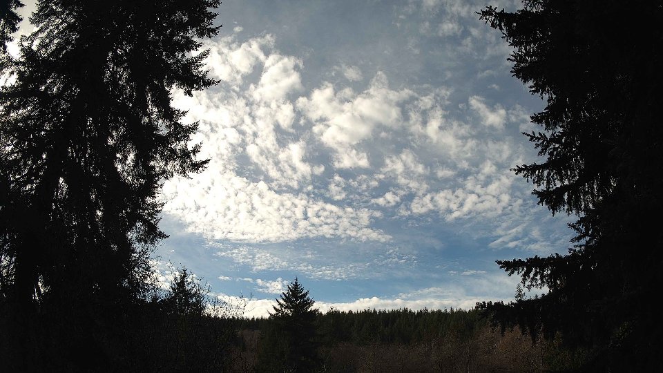 Pacific Northwest skyline timelapse on Jan 31, 2026 at 11:45 AM