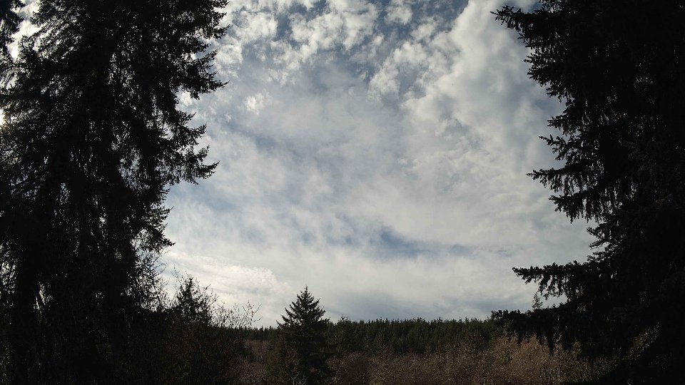 Pacific Northwest skyline timelapse on Jan 31, 2026 at 12:00 PM