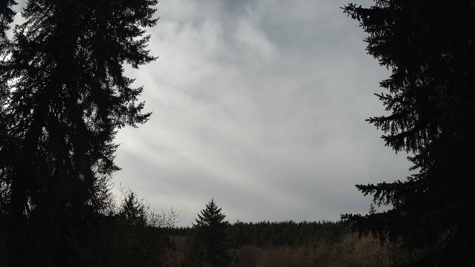 Pacific Northwest skyline timelapse on Jan 31, 2026 at 12:15 PM