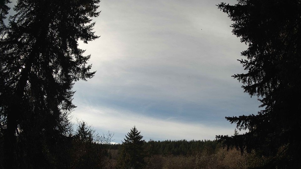 Pacific Northwest skyline timelapse on Jan 31, 2026 at 12:45 PM