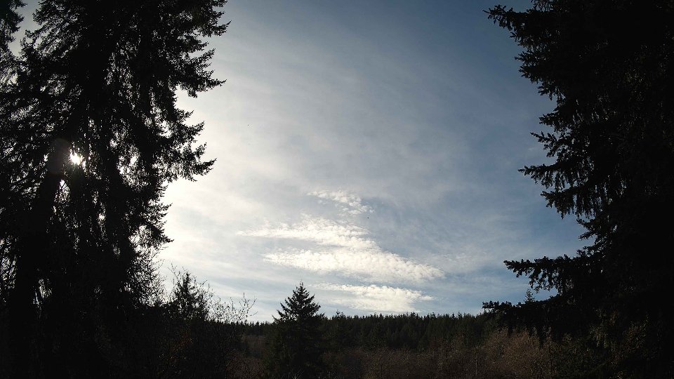 Pacific Northwest skyline timelapse on Jan 31, 2026 at 1:00 PM