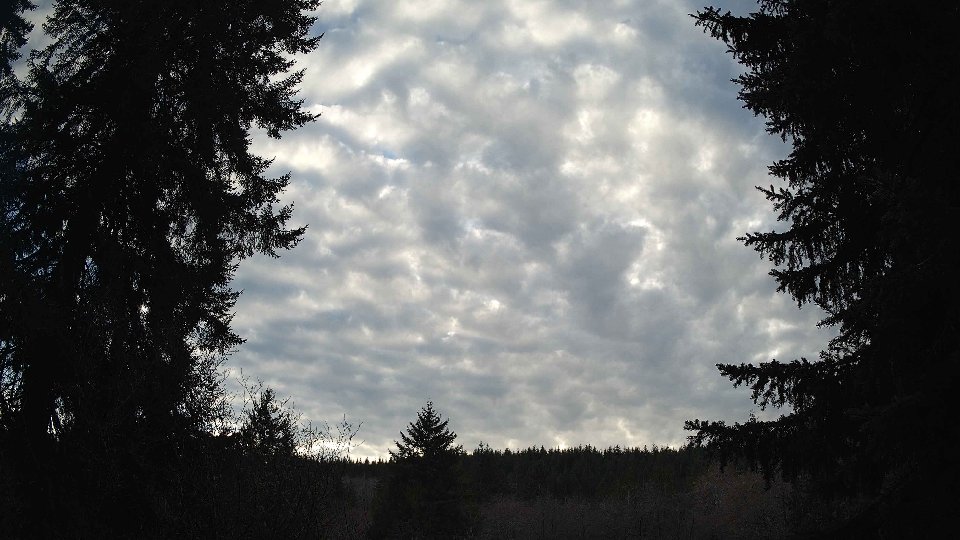 Pacific Northwest skyline timelapse on Jan 31, 2026 at 4:15 PM