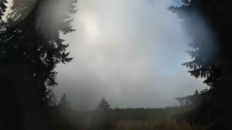 Pacific Northwest skyline timelapse on Feb 01, 2026 at 9:45 AM