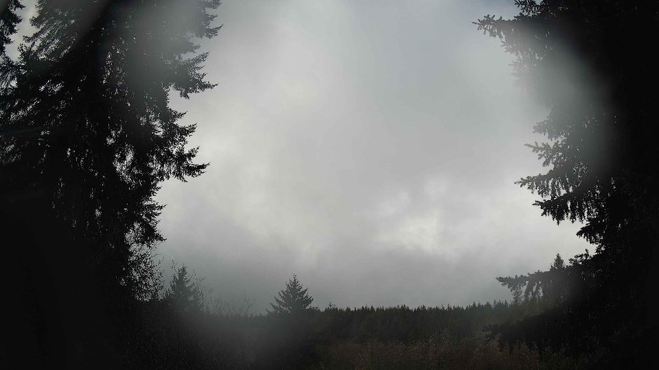 Pacific Northwest skyline timelapse on Feb 01, 2026 at 10:00 AM