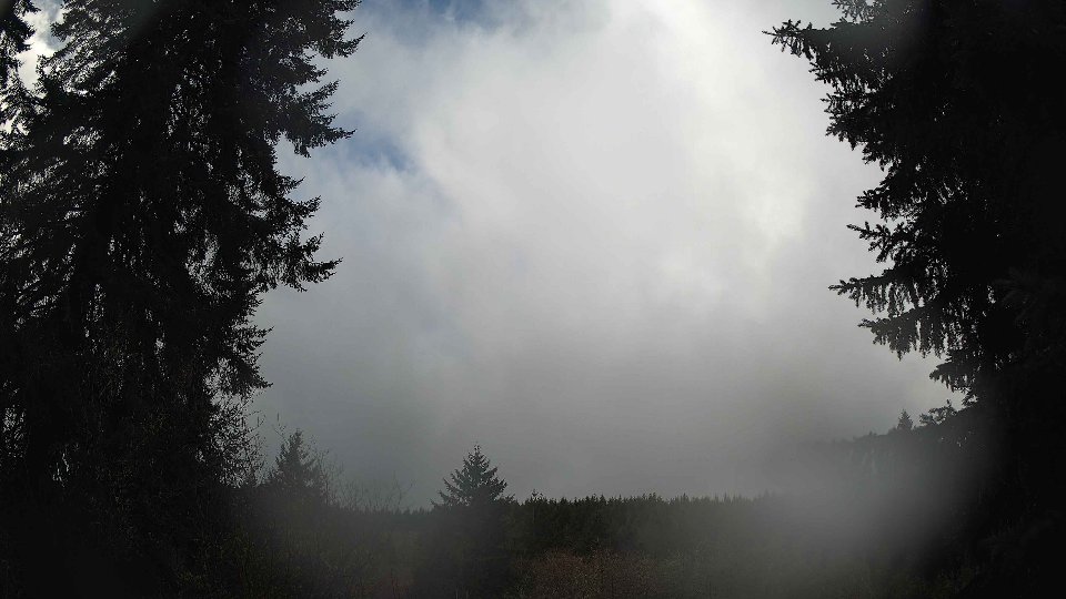 Pacific Northwest skyline timelapse on Feb 01, 2026 at 11:30 AM