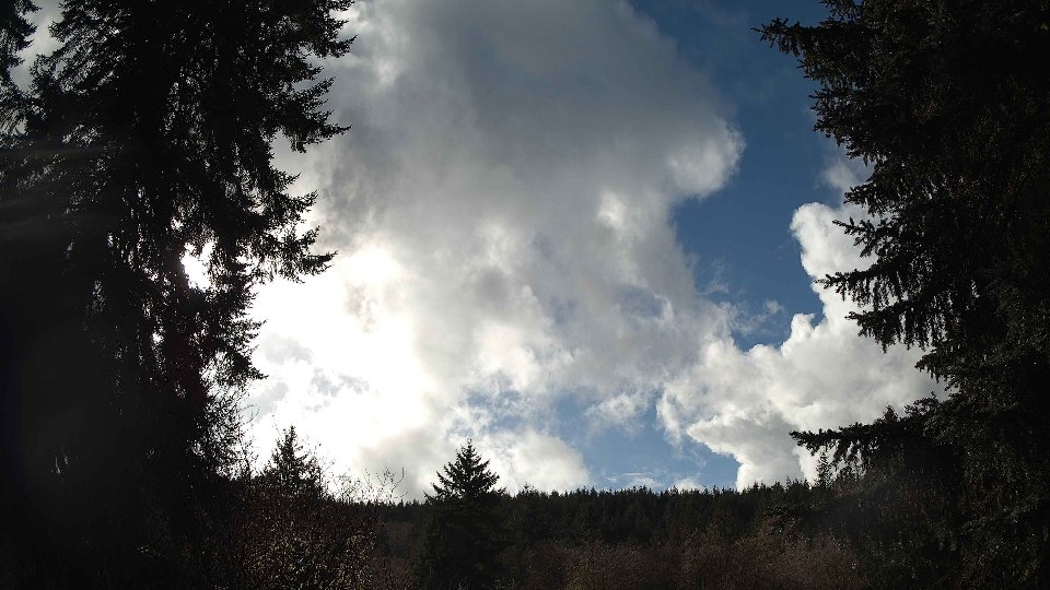 Pacific Northwest skyline timelapse on Feb 01, 2026 at 1:30 PM