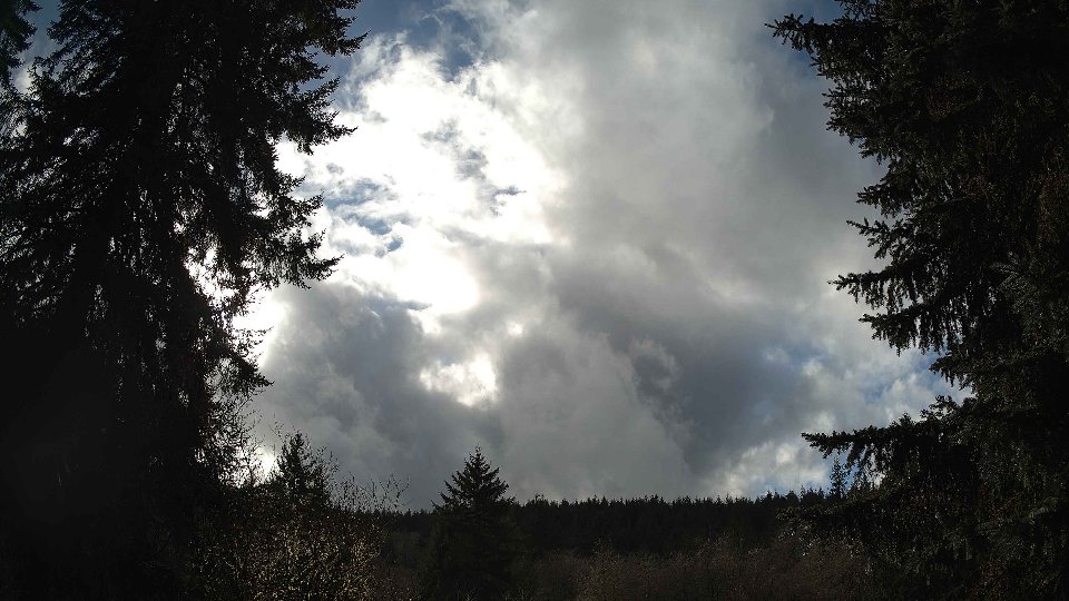 Pacific Northwest skyline timelapse on Feb 01, 2026 at 1:45 PM