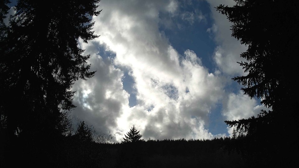 Pacific Northwest skyline timelapse on Feb 01, 2026 at 2:15 PM