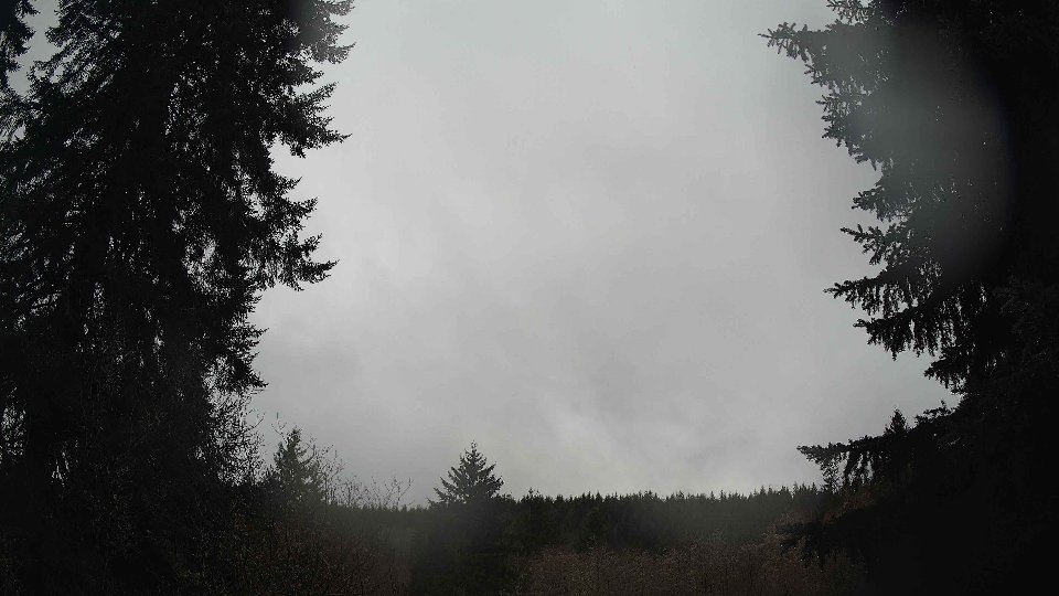Pacific Northwest skyline timelapse on Feb 02, 2026 at 1:30 PM